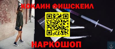 дмт Кингисепп