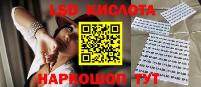 дмт Кингисепп