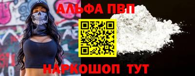 дмт Кингисепп