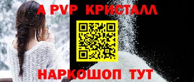 дмт Кингисепп