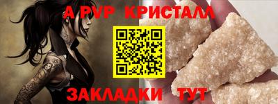 дмт Кингисепп